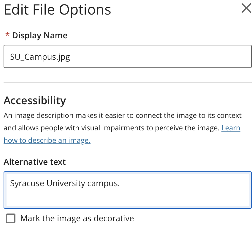 a screenshot from Blackboard ally showing the alternative text field with the text "Syracuse University campus." Under the alt text field is an unchecked checkbox that reads Mark the image  as decorative. 