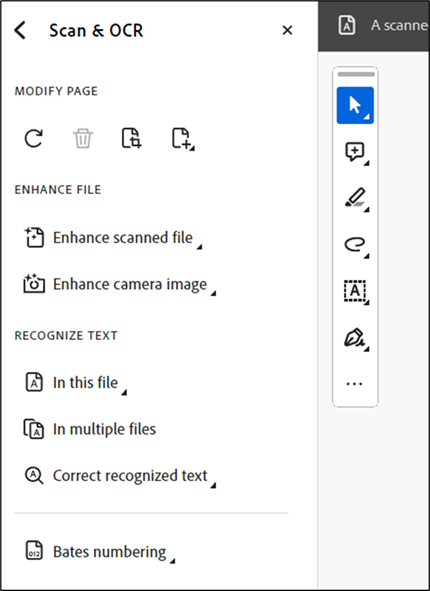 a screenshot of the Scan & OCR interface in Acrobat Pro.